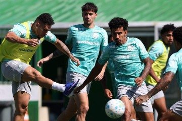 Líder do Campeonato Brasileiro com 26 pontos, o Palmeiras entra em campo tentando manter a vantagem na ponta da tabela -  (crédito: Cesar Greco/Palmeiras)