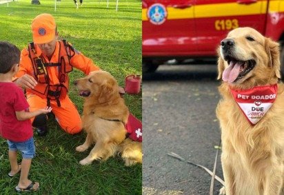 Thor doou sangue 14 vezes para o Hospital Veterinário de Uberaba, no Triângulo Mineiro -  (crédito: CBMMG/Divulgação)
