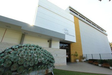 F&oacute;ssil que permitiu descoberta integra uma das cole&ccedil;&otilde;es do Museu de Ci&ecirc;ncias Naturais PUC Minas desde a d&eacute;cada de 1980 -  (crédito: Marcos Figueiredo/Ibram)