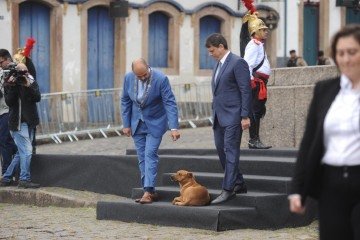 Cão caramelo acompanha solenidade da Inconfidência e interage com autoridades em Ouro Preto
 -  (crédito: Alexandre Guzanshe/EM/D.A Press)