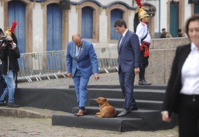 Cão caramelo acompanha solenidade da Inconfidência e interage com autoridades em Ouro Preto
 -  (crédito: Alexandre Guzanshe/EM/D.A Press)