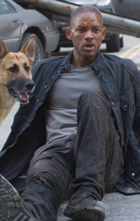 'Eu Sou a Lenda 2': aguardada sequência com Will Smith contrata diretor -  (crédito: Observatorio do Cinema)