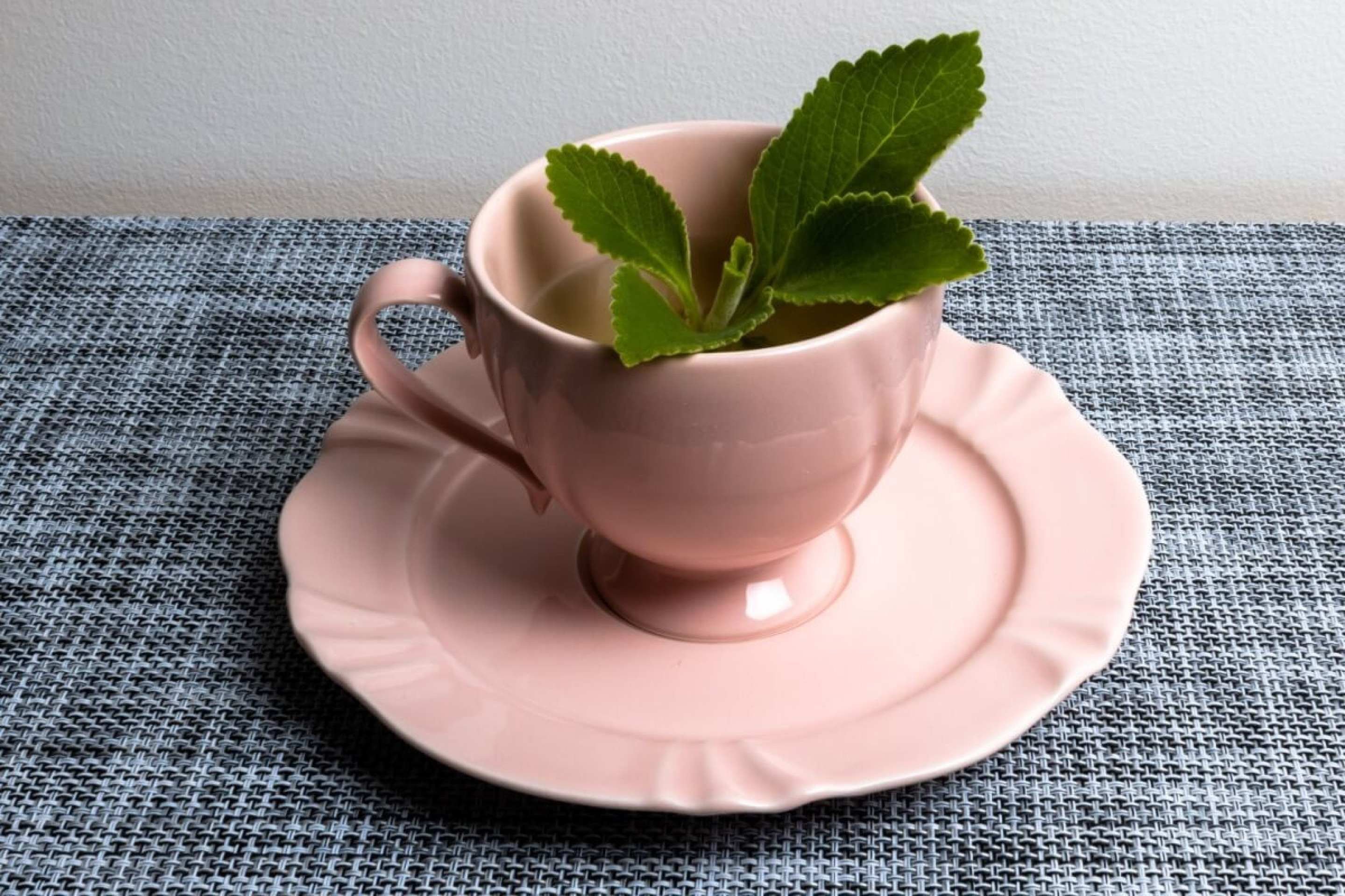 Chá de boldo ajuda na digestão? Veja 6 receitas e como usar