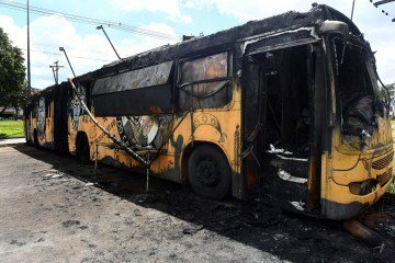  22/04/2026 Cr..dito: Marcelo Ferreira/CB/D.A Press. Brasil. Bras..lia - DF -  Ceil..ndia Dog Cangaceiro pegou fogo na noite de ter..a-feira. Henrique Martins (propriet..rio)
     -  (crédito:  Marcelo Ferreira/CB/D.A Press)