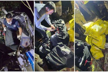 A aeronave contratada pela empresa Prosegur transportava US$ 5 milhões e R$ 15 milhõe -  (crédito: Reprodução/Redes sociais)