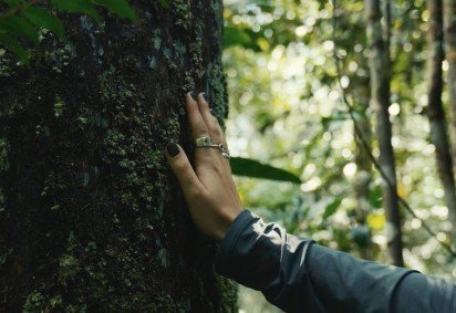 Dia da Terra: 10 projetos de conservação transformadores no Brasil -  (crédito: Uai Turismo) -Dia da Terra: 10 projetos de conservação transformadores no Brasil -  (crédito: Uai Turismo)