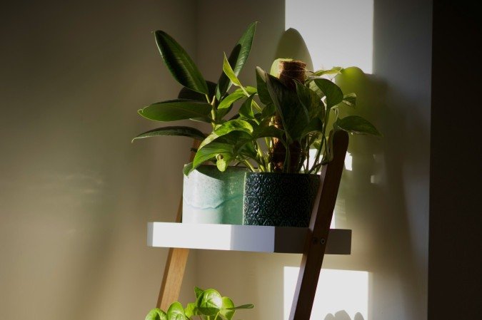 Novos formatos de estantes têm atraído os apaixonados por esse elemento