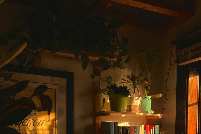 Estantes menores também fazem um enorme sucesso