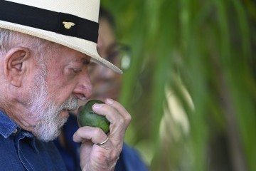 'Quando eu viajar, vou tentar levar um pé de jabuticaba para o Xi Jinping (presidente da China). Vou tentar levar um para o Trump, para acalmar ele', disse Lula. -  (crédito:   Carlos Vieira CB/DA Press)