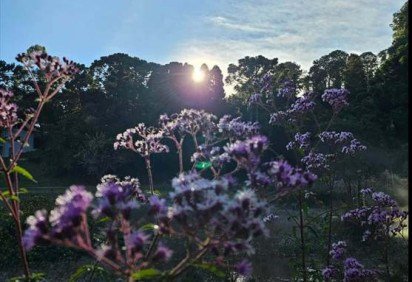 Com 3,5ºC, Monte Verde (MG) registra a menor temperatura do Brasil -  (crédito: Uai Turismo) -Com 3,5ºC, Monte Verde (MG) registra a menor temperatura do Brasil -  (crédito: Uai Turismo)