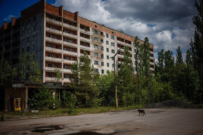Cão anda pela cidade fantasma de Pripyat, abandonada há 40 anos