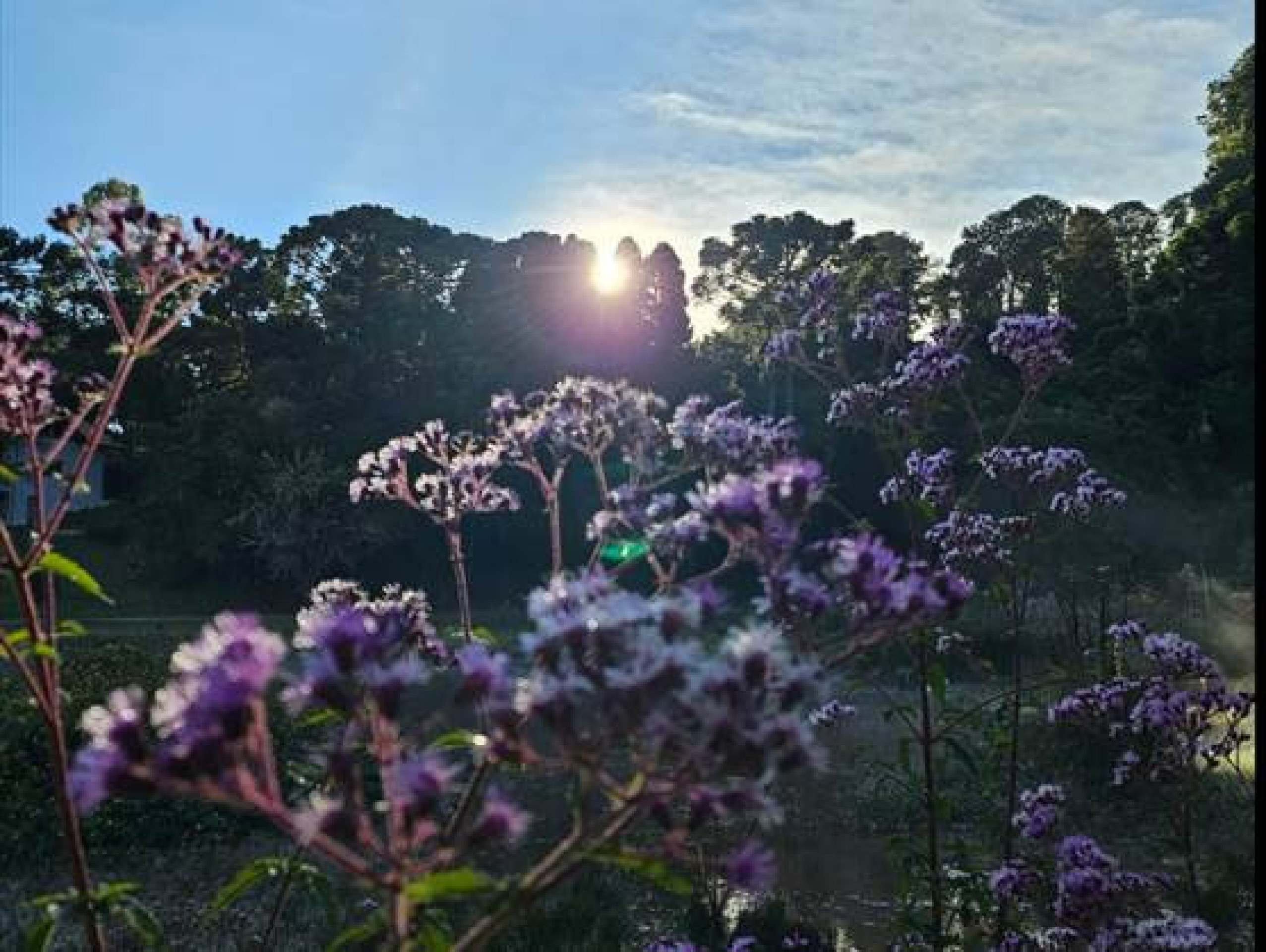 Com 3,5ºC, Monte Verde (MG) registra a menor temperatura do Brasil