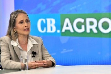 CB.Agro recebe Cláudia Stellin, coordenadora de Agronegócios do Sebrae Nacional. Na bancada, Roberto Fonseca e Sibele Negromonte. -  (crédito:  Ed Alves/ CB/DA Press)