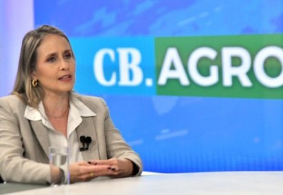 CB.Agro recebe Cláudia Stellin, coordenadora de Agronegócios do Sebrae Nacional. Na bancada, Roberto Fonseca e Sibele Negromonte. -  (crédito:  Ed Alves/ CB/DA Press) -CB.Agro recebe Cláudia Stellin, coordenadora de Agronegócios do Sebrae Nacional. Na bancada, Roberto Fonseca e Sibele Negromonte. -  (crédito:  Ed Alves/ CB/DA Press)