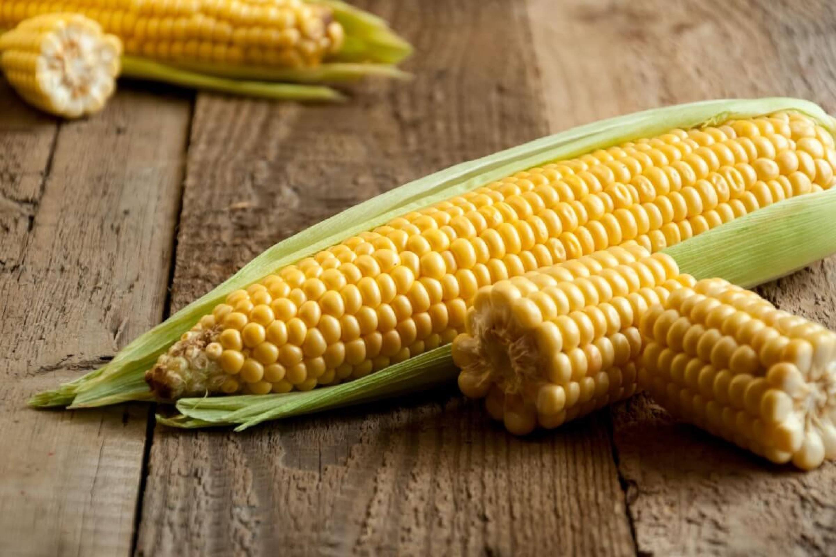 8 motivos para incluir o milho na alimentação