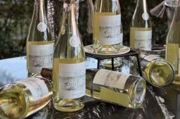 Ipê branco inspira primeiro espumante brasiliense feito com a uva Chenin Blanc -  (crédito: Divulgação)