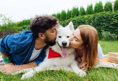 Guarda compartilhada requer atenção e dedicação dos tutores para manter o bem-estar dos pets (Imagem: YAKOBCHUK VIACHESLAV | Shutterstock)
 -  (crédito: EdiCase) -Guarda compartilhada requer atenção e dedicação dos tutores para manter o bem-estar dos pets (Imagem: YAKOBCHUK VIACHESLAV | Shutterstock)
 -  (crédito: EdiCase)