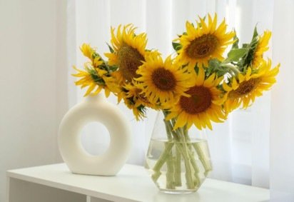 Voltado naturalmente para a luz, o girassol simboliza energia positiva e contribui para tornar o ambiente mais harmonioso (Imagem: Pixel-Shot | Shutterstock) -  (crédito: EdiCase) -Voltado naturalmente para a luz, o girassol simboliza energia positiva e contribui para tornar o ambiente mais harmonioso (Imagem: Pixel-Shot | Shutterstock) -  (crédito: EdiCase)