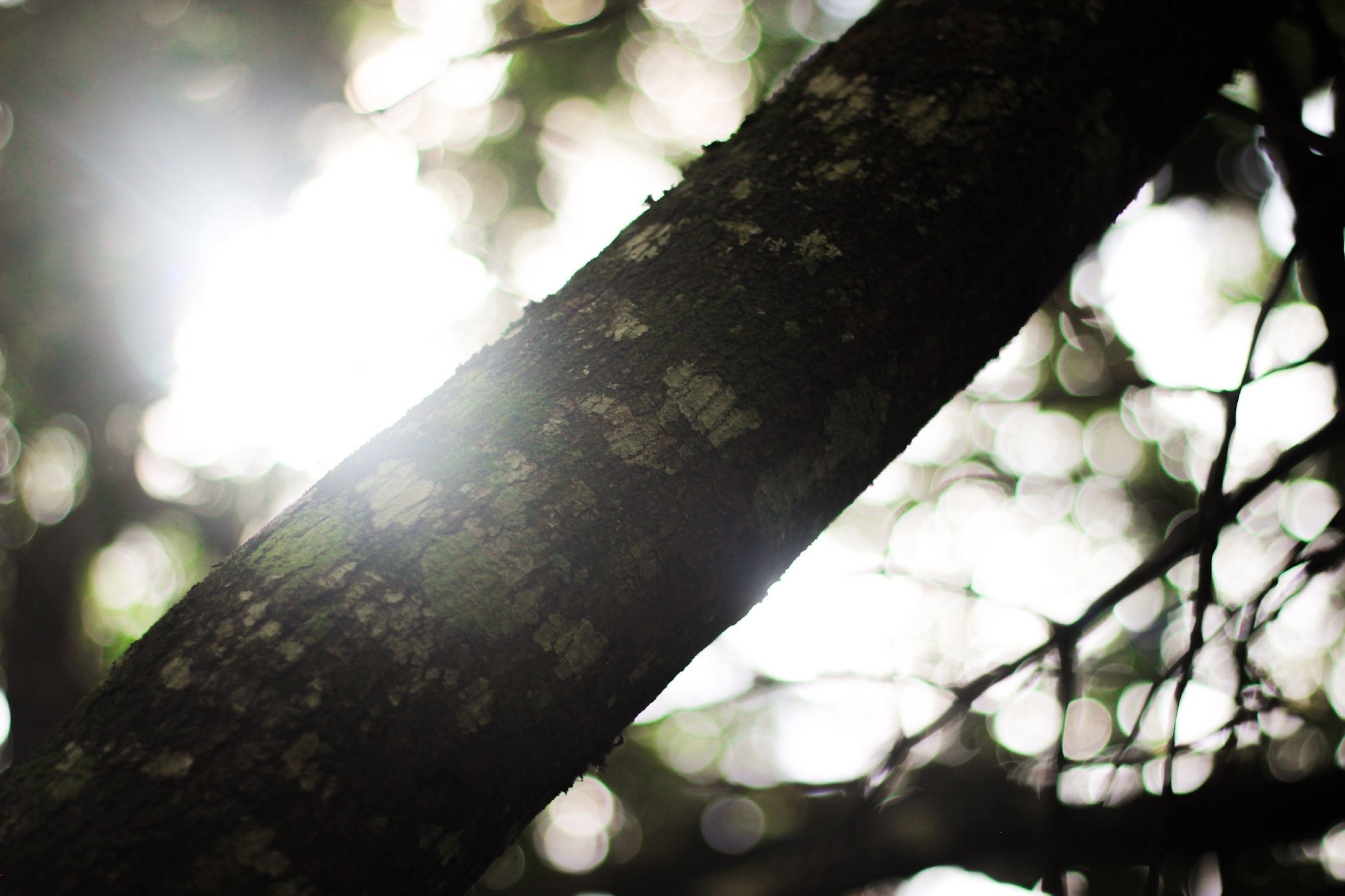 Denize Passos construiu um ensaio baseado na ideia de colheita &mdash; de plantas e de aprendizados