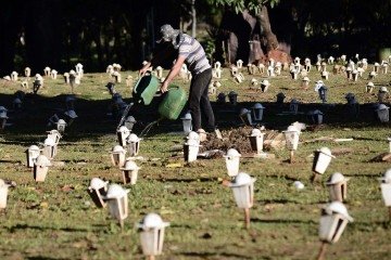 Aumento nas taxas de serviços funerários não cobre custos operacionais, como despesas com pessoal, diz a empresa Campo da Esperança -  (crédito: Minervino Júnior/CB/D.A.Press)