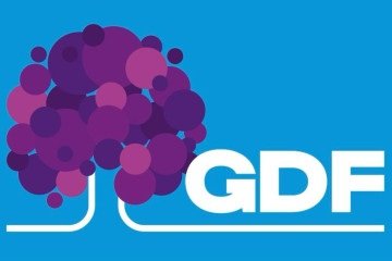 Nova logomarca do Governo do Distrito Federal (GDF) -  (crédito: GDF/Divulga&ccedil;&atilde;o)