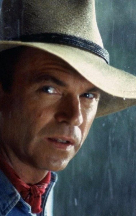 Neill explicou que passou por quimioterapia, mas o tratamento deixou de funcionar -  (crédito: Observatorio do Cinema)