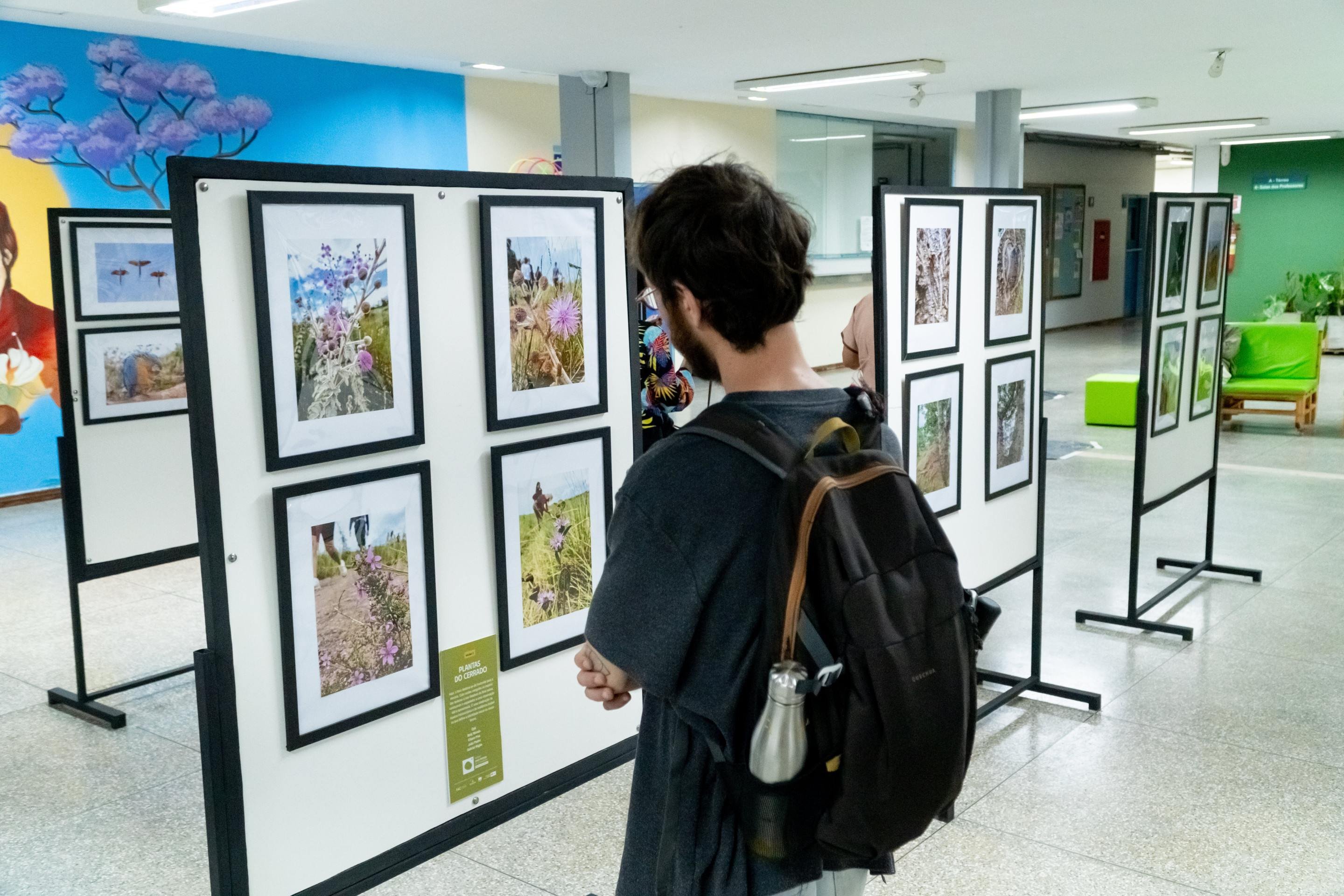 Quem se interessar pode visitar a exposi&ccedil;&atilde;o at&eacute; 14 de maio