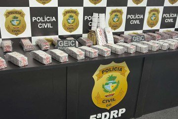 Homem foi preso em flagrante -  (crédito: PCGO/Divulgação)