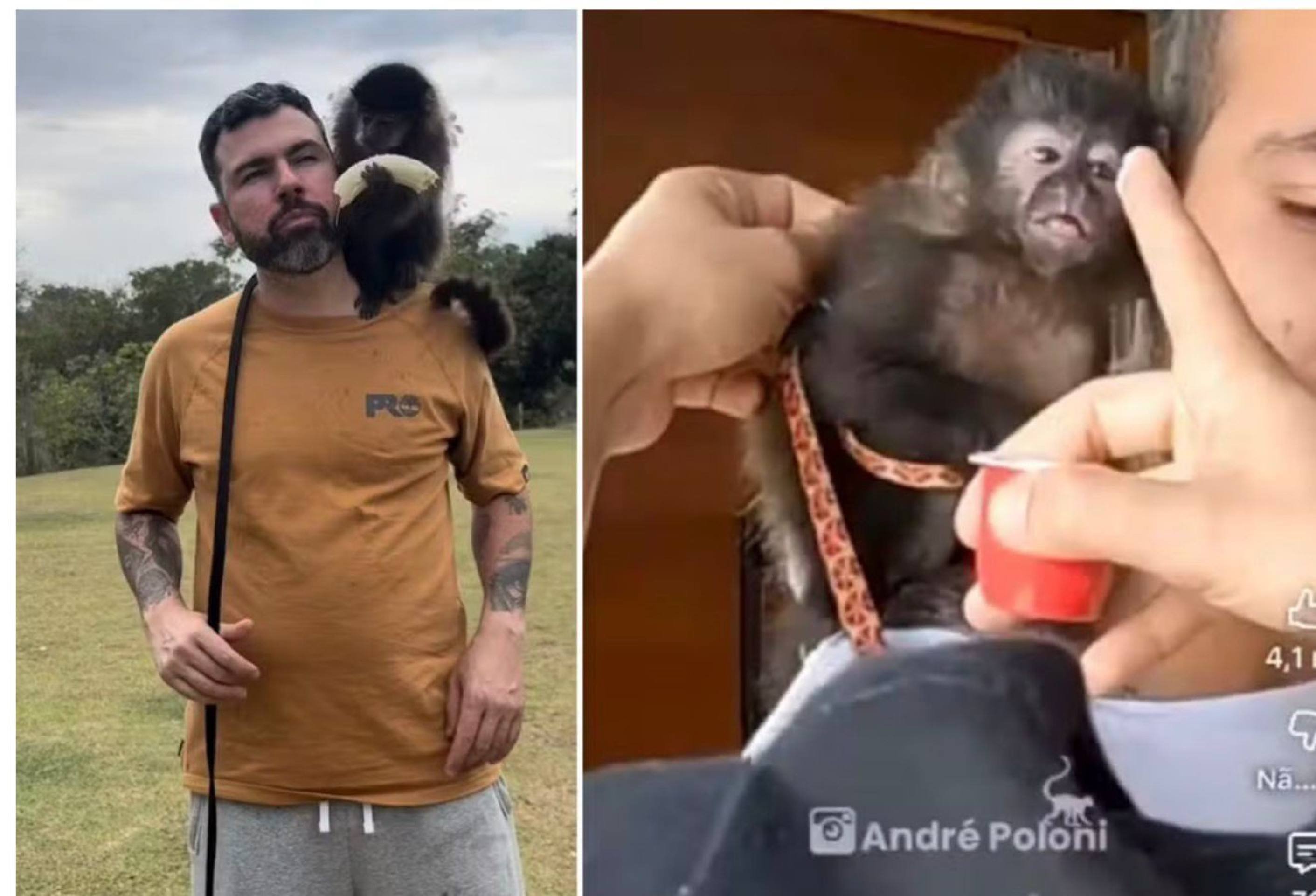 Andr&eacute; Poloni alimentando o Macaco Katu com Danoninho