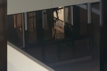 A situação ocorre em um prédio comercial próximo ao Condomínio Parque Norte Brasília -  (crédito: Material cedido ao Correio)