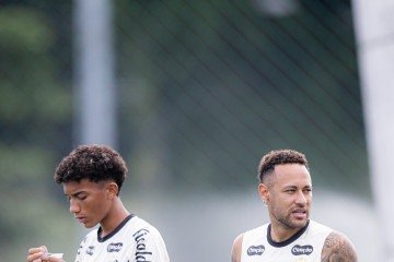 O jovem de 18 anos confirmou a agressão do companheiro de equipe mas já se resolveu com o camisa 10 da equipe -  (crédito: Raul Baretta/Santos FC)