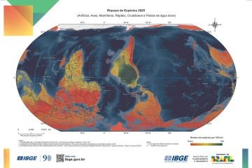 Novo mapa invertido do IBGE traz Brasil no centro do mundo e indicador de diversidade de espécies -  (crédito: Divulgação IBGE)