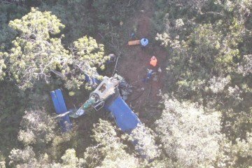 Aeronave que pulverizava canavial caiu em mata às margens da BR-365, em João Pinheiro (MG), no Noroeste do estado -  (crédito: Divulgação/ CBMMG)