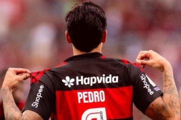 Pedro, do Flamengo, chega aos oito gols e assume artilharia compartilhada do Brasileirão com Viveros, do CAP -  (crédito: Foto: Adriano Fontes / Flamengo)