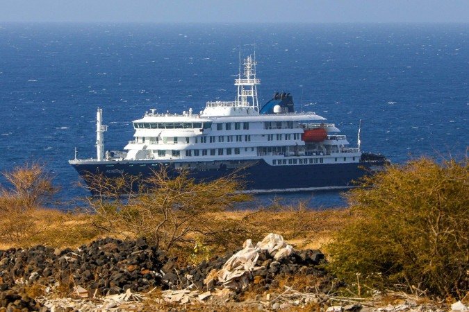 Hantavírus, que geralmente é transmitido por roedores, pode ter se espalhado entre 'contatos realmente próximos' - (crédito: Centers for Disease Control and Prevention/Divulgação via Reuters) Hantavírus, que geralmente é transmitido por roedores, pode ter se espalhado entre 'contatos realmente próximos' - (crédito: Centers for Disease Control and Prevention/Divulgação via Reuters)
