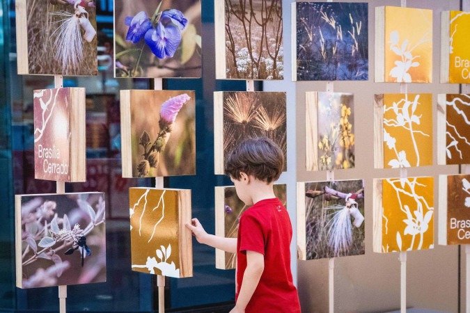 Brasília Cerrado
Exposição de Gabriela Bilá e Mariana Siqueira. Visitação até 16 de maio, diariamente, das 12h às 20h, no Brasília Shopping. 
