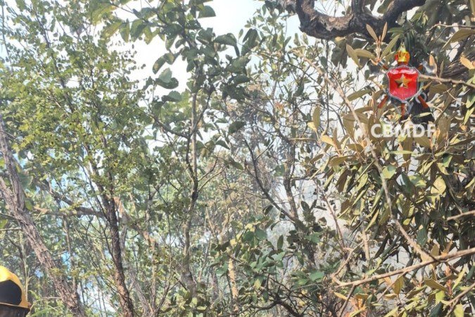 Bombeiros realizam controle das chamas em Planaltina