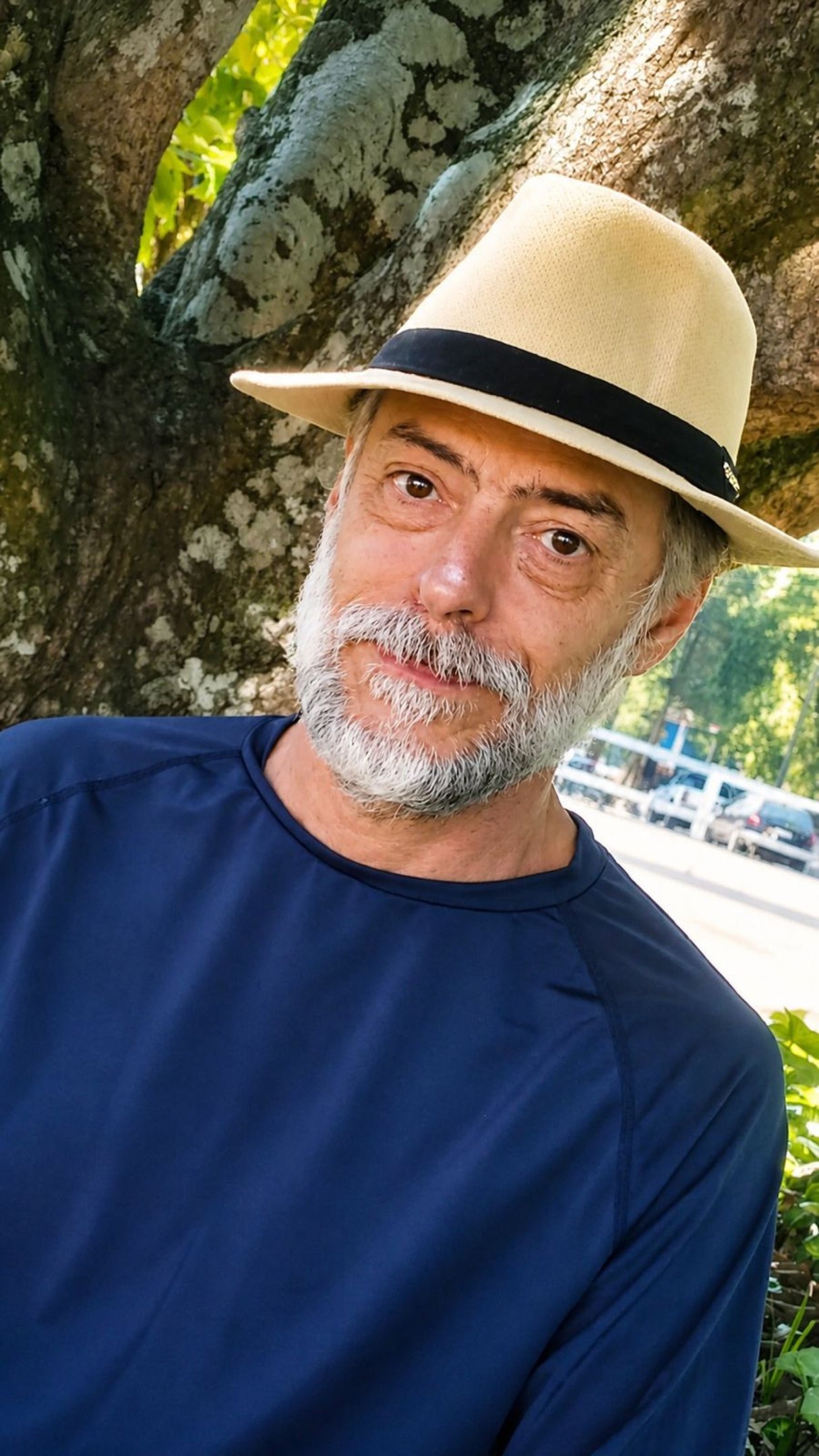 Cláudio Daniel lança antologia 'Constelação Haroldo de Campos' na BDB