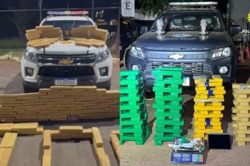 A quantidade de drogas apreendidas pela pm chegou ao montante de 300kg -  (crédito: Polícia Militar do Distrito Federal/Divulgação)