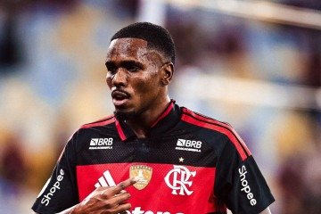 Volante de 23 anos aproveitou brecha dada por lesão de Pulgar para assumir a titularidade -  (crédito: Divulgação/Flamengo)
