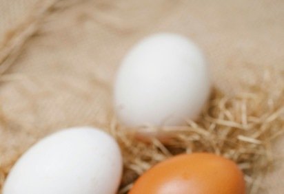 O que define a qualidade são os sistemas de criação e a nova classificação de peso do Ministério da Agricultura, que agora organiza os ovos de médio a jumbo. -  (crédito: pexels,reprodução) -O que define a qualidade são os sistemas de criação e a nova classificação de peso do Ministério da Agricultura, que agora organiza os ovos de médio a jumbo. -  (crédito: pexels,reprodução)