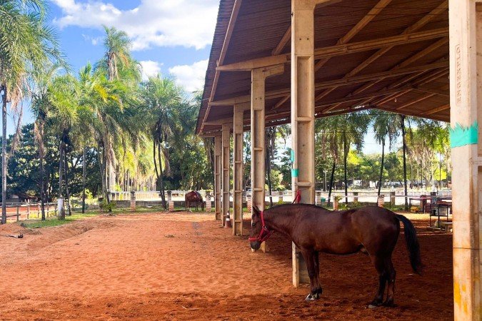 Hípica Jardim Botânico