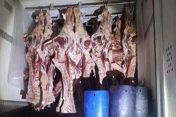 Receita do DF apreende 27 toneladas de carne, além de milhares de outros produtos, como leite condensado e cama box -  (crédito: Secretaria de Economia)