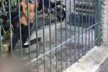 Morre torcedor do Vasco que foi espancado após partida contra o Flamengo  -  (crédito: Reprodução)