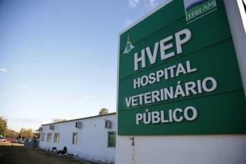 Sugestões vão subsidiar a construção de novo modelo de execução do Hvep -  (crédito: Arquivo/Agência Brasília)