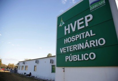 Sugestões vão subsidiar a construção de novo modelo de execução do Hvep -  (crédito: Arquivo/Agência Brasília) -Sugestões vão subsidiar a construção de novo modelo de execução do Hvep -  (crédito: Arquivo/Agência Brasília)