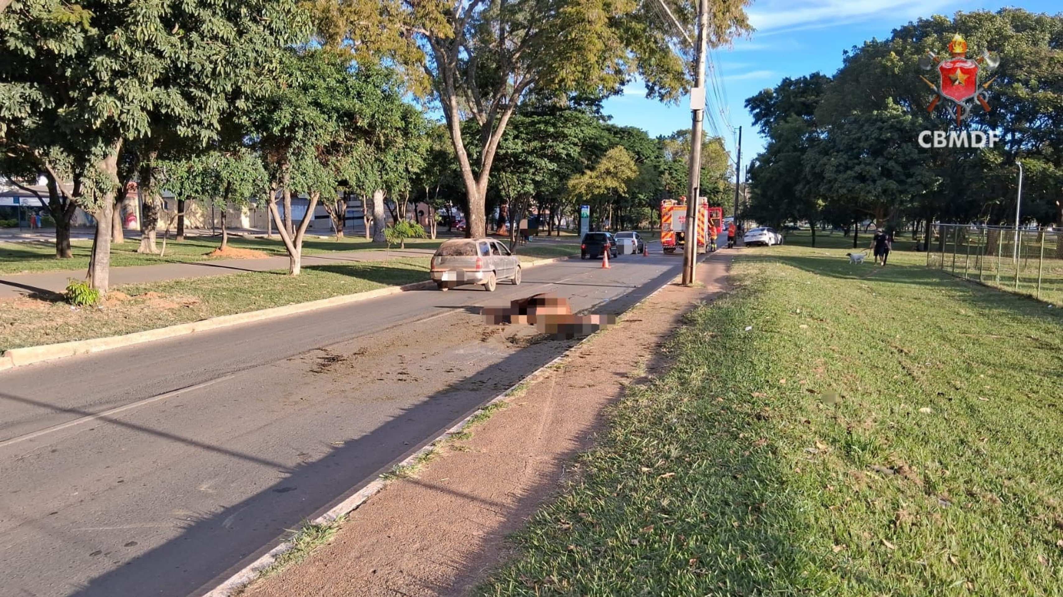 Cavalo morre ao ser atropelado por carro em Planaltina