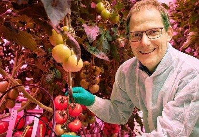 Estufas de alta tecnologia do país têm produtividade até cinco vezes maior que convencionais -  (crédito: Wageningen University & Research) -Estufas de alta tecnologia do país têm produtividade até cinco vezes maior que convencionais -  (crédito: Wageningen University & Research)