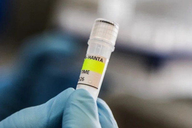 Paciente de 46 anos morreu após contato com roedores em área rural - (crédito: AFP ) Paciente de 46 anos morreu após contato com roedores em área rural - (crédito: AFP )