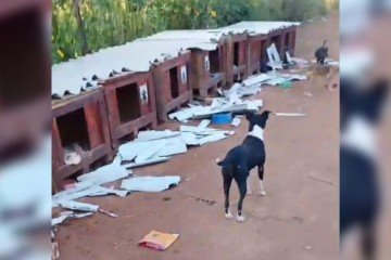 Vandalismo &eacute; investigado pela pol&iacute;cia -  (crédito: Material cedido ao Correio)